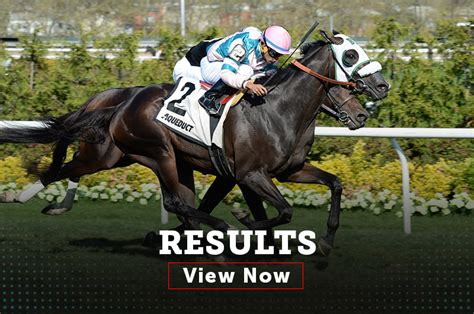 com, your official source for horse racing results, mobile racing data, statistics as well as all other horse racing and thoroughbred racing information. . Aqueduct race results